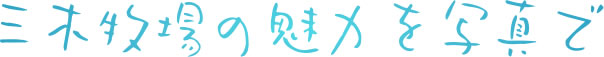 三木牧場の魅力を写真で