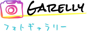 フォトギャラリー